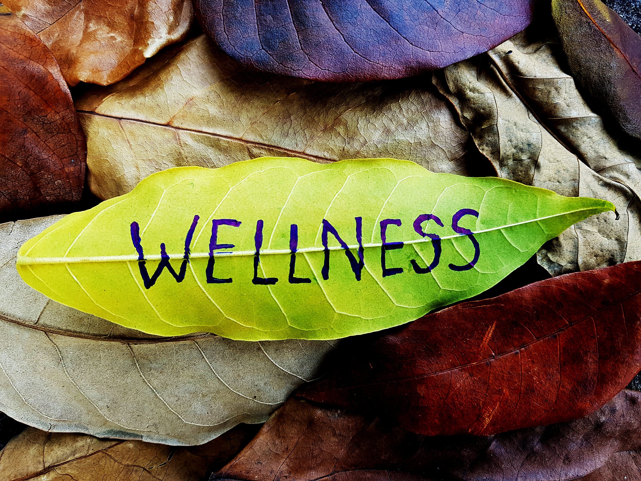 Wellness Leaf